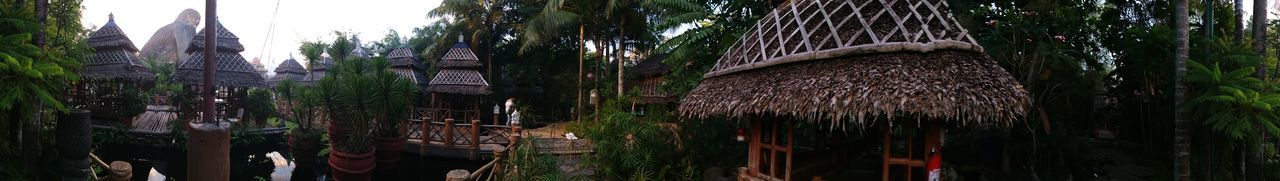 Panoramic shot of plants growing on roof