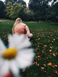 Rear view of woman in park