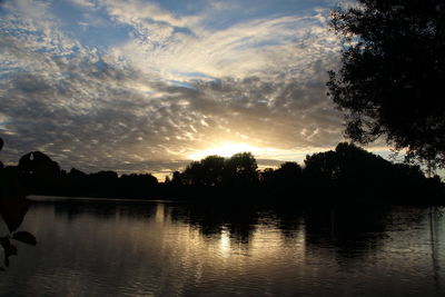 Reflection of trees in calm lake