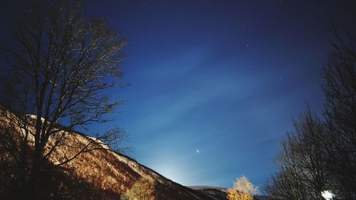 Low angle view of bare trees against blue sky