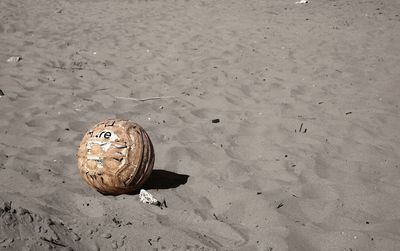 High angle view of crab on sand