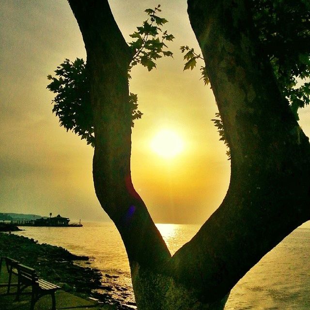 sun, sea, sunset, water, tranquility, sky, scenics, tree, tranquil scene, beauty in nature, horizon over water, sunlight, nature, silhouette, beach, tree trunk, one person, idyllic, lens flare, sunbeam