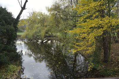 Scenic view of lake amidst trees in forest