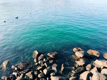 High angle view of rocks on sea shore