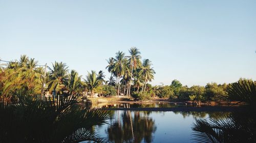 Scenic view of lake against clear sky