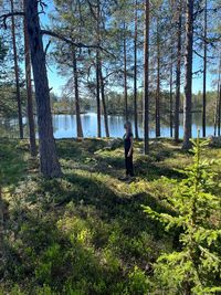 Man standing by trees in forest