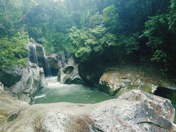 Scenic view of waterfall in forest