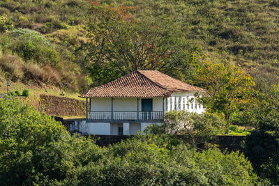 House and trees on field