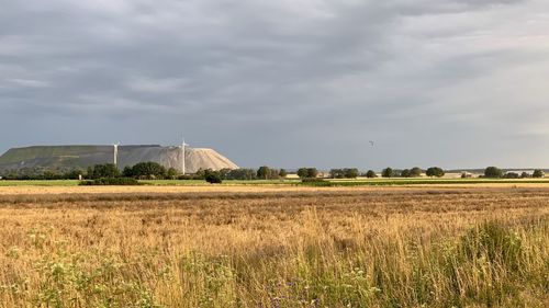 Scenic view of agricultural field against sky