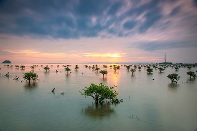 Scenic view of sea against sky during sunset