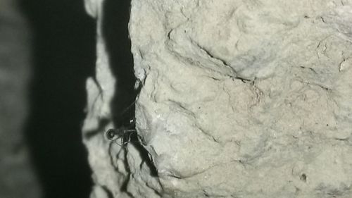 Close-up of rock