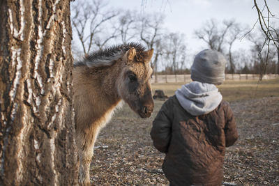 Rear view of boy with horse on field