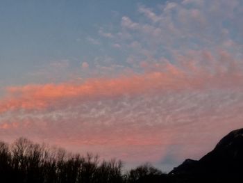 Low angle view of silhouette trees against dramatic sky