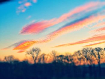 Silhouette trees on field against sky at sunset