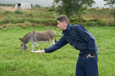 Young man gesturing while standing by donkey on field