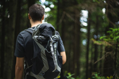 Rear view of man standing in forest