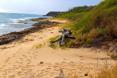 View of calm beach against the sky