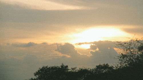 Low angle view of silhouette trees against sky during sunset