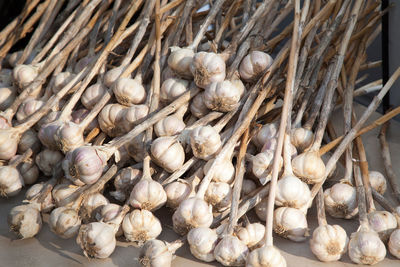 High angle view of garlics on table