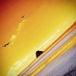 Silhouette of airplane flying in sky at sunset