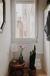 Potted plants on table at home