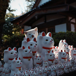 animal representation