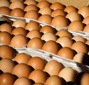 Close-up of brown eggs in crates