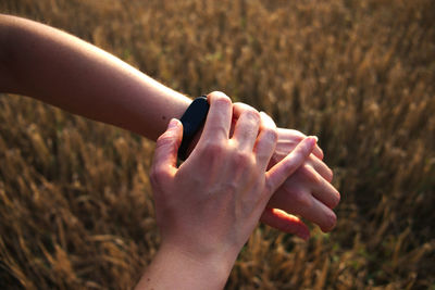 Close-up of hands over plants