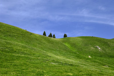 Scenic view of land against sky