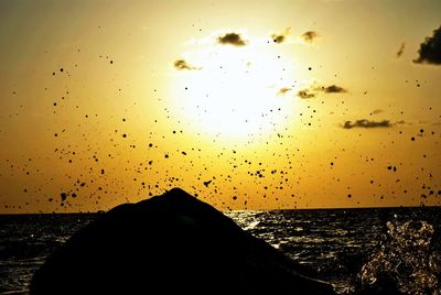 Silhouette of birds flying over sea