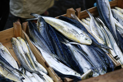 High angle view of fish for sale in market