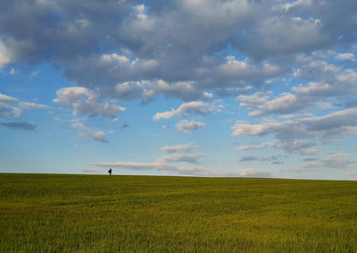 Tiny person silhouette on the horizon walking a green wheat field below a blue sky with fluffy cloud