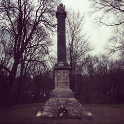Bare trees against sky