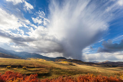 Vibrant fall colors in the san juan mountains along last dollar road in telluride, colorado