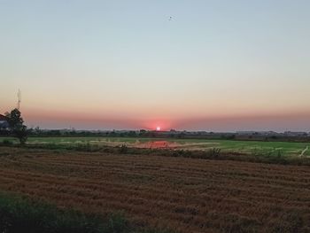 Scenic view of field against sky during sunset