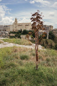 View of old building in field