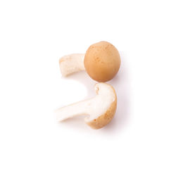 High angle view of eggs against white background