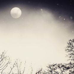 Low angle view of moon in sky