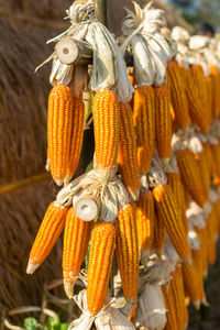 Close-up of corns for sale at market