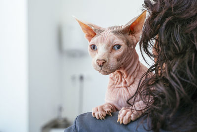 Close-up of woman with cat