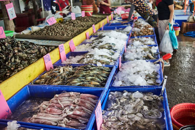 The variety of fresh seafood at the seafood market