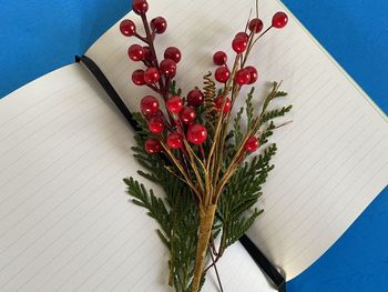 Open notebook with red berries on blue background