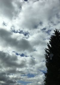 Low angle view of trees against cloudy sky