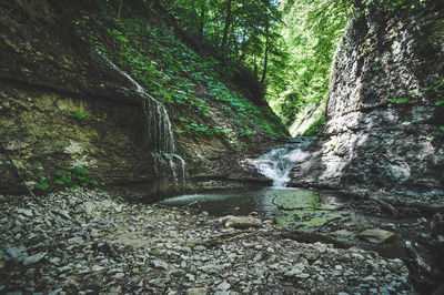 Stream flowing through rocks in forest
