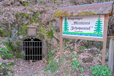 Information sign on old tree