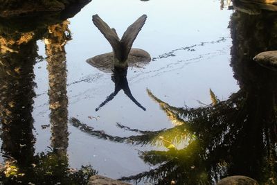 High angle view of a lake