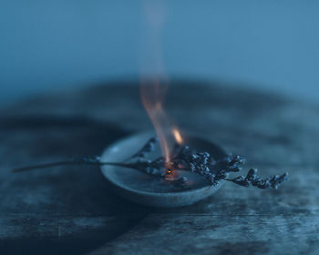 Close-up of burning plant in bowl