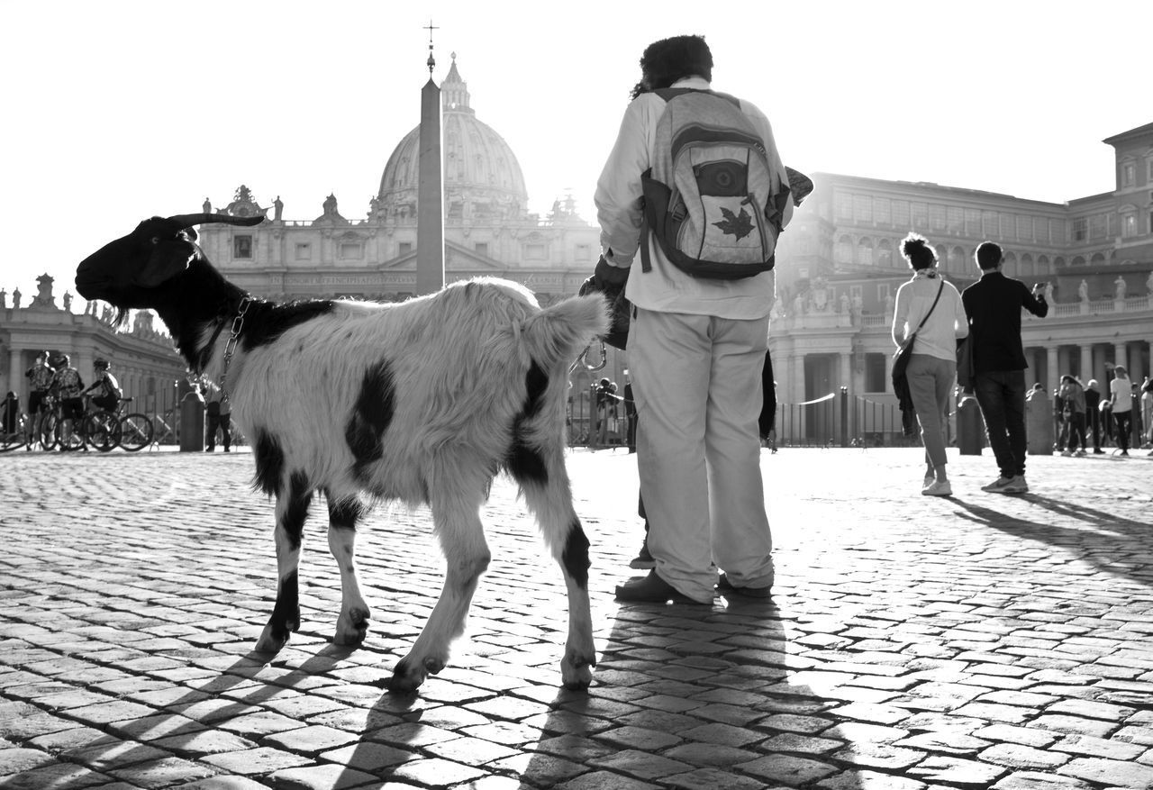 FULL LENGTH REAR VIEW OF MAN WALKING ON COBBLESTONE STREET