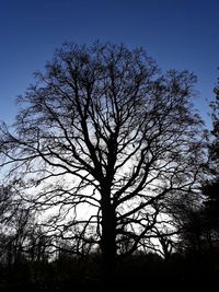 Low angle view of silhouette bare tree against clear sky