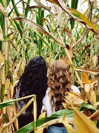 Rear view of women standing amidst crops at farm